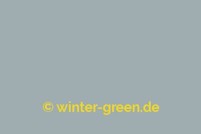Earl - Farbe für englischen / viktorianischen Wintergarten