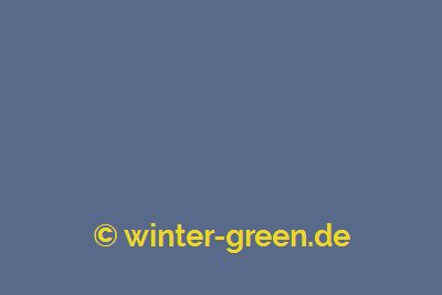 Andrew - Farbe für englischen / viktorianischen Wintergarten