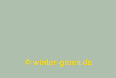 Teatime - Farbe für englischen / viktorianischen Wintergarten