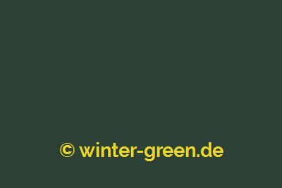Harry - Farbe für englischen / viktorianischen Wintergarten