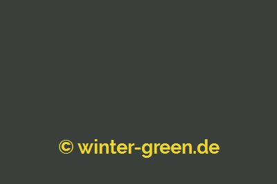 University - Farbe für englischen / viktorianischen Wintergarten